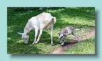 Mom and Kid